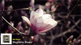 headphonik – Adia Victoria – Magnolia Blues