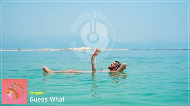 headphonik – Evergreen – Guess What