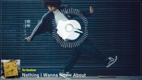 headphonik – The Bamboos – Nothing I Wanna Know About