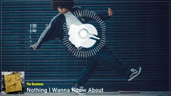 headphonik – The Bamboos – Nothing I Wanna Know About