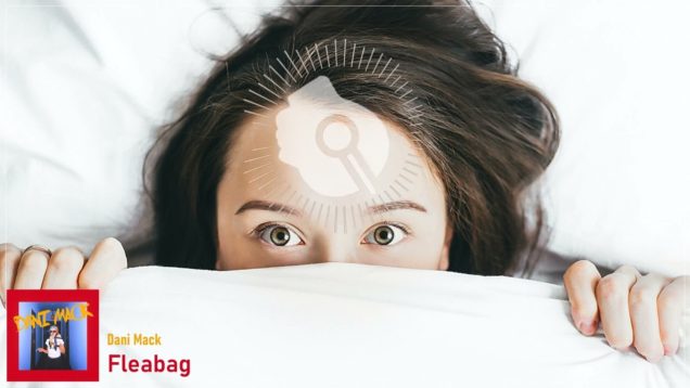 headphonik – Dani Mack – Fleabag