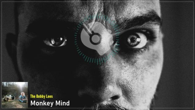 headphonik – The Bobby Lees – Monkey Mind